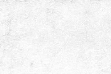 Fototapeta premium White wooden board texture background. Surface white wood wall texture for background.