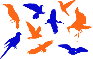 Set of animals isolated