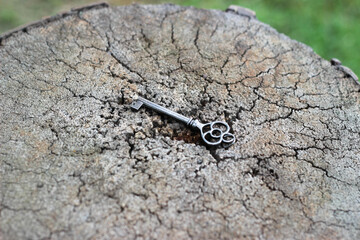 craked tree log and a vintage key