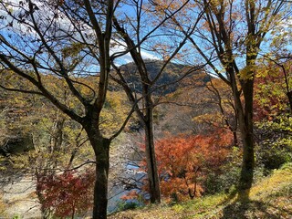 Fototapeta na wymiar Natural scape in the Ranzan Valley in Ranzan-Town, Hiki-District, Saitama Prefecture, Japan.