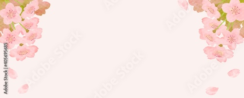 水彩風桜の花のバナー背景イラスト Wall Mural Wallpaper Murals ささいねこ