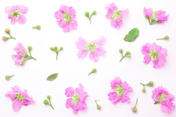 Fototapeta na wymiar Flowers composition. Pattern purple flowers and leaves on white background.
