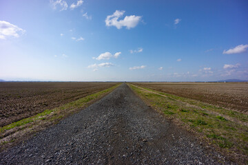 早春の光を浴びる広大な大潟村の農地