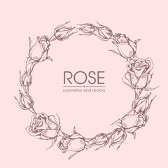 Frame with Roses . Detailed hand-drawn sketches, vector