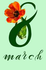 International Women's Day March 8! Flat Lay, banner, greeting card with flowers from March 8.