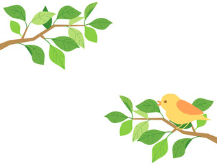 葉27　新緑　緑　枝　鳥　小鳥