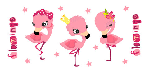 Set of characters in cartoon style, fun and attractive flamingo. Vector illustration