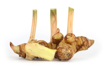 Fresh galangal rhizomes isolated on white background.