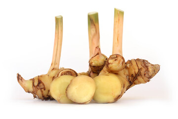 Fresh galangal rhizomes isolated on white background.