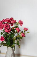 Pink roses in a vase on a white background. The concept of the coming of spring and women's day. Minimalistic lifestyle background.