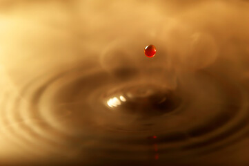 水滴の波紋　ブラウン　コーヒー