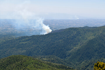 Fire in the forest in the Aberdares, Kenya