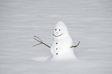 Happy snowman standing in snowdrift