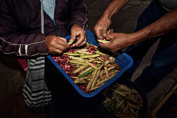 Manos desgranando frijoles