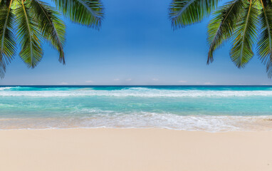 Fototapeta na wymiar Tropical beach with white sand, tropical sea and palms. Summer vacation and tropical beach concept. 