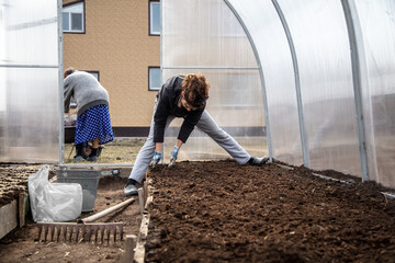 The girl sows seeds in the ground