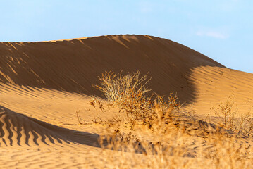 Huge dunes of the desert. Beautiful structures of sandy barkhan or sand-dune. Waves by wind on sand...