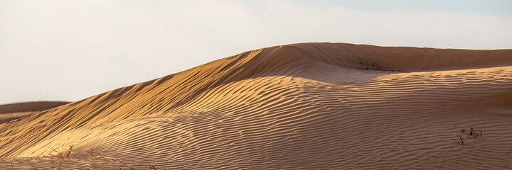 Huge dunes of the desert. Beautiful structures of sandy barkhan or sand-dune. Waves by wind on sand...