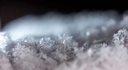 winter photo of snowflakes in the snow