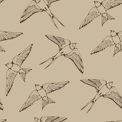 Swallow and House Martin birds vector pattern, hand drawn seamless background