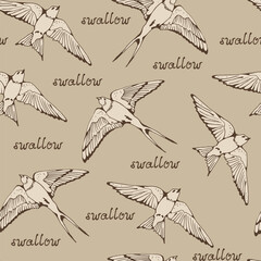 Swallow and House Martin birds vector pattern, hand drawn seamless background