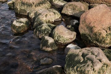 Wet granite stones with alga