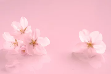 Fotobehang 桜の花  © tamayura39
