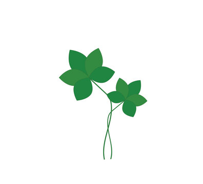 leaf clover isolated on white, vector illustration for St. Patrick's day