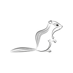 Chipmunk. Outlined silhouette illustration of a sitting chipmunk isolated on white background. Vector 10 EPS.