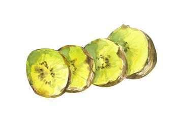Sliced ​​kiwi. Hand drawn watercolor illustration. For the design of mugs, plates, prints, cards, stickers