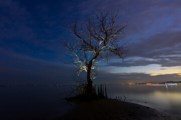 Scene of beautiful sunrise in the morning.