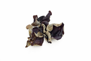 Auricularia auricula-judae on white background.