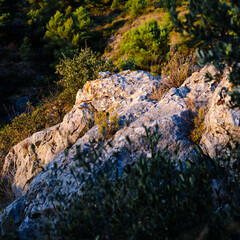 Some stones in the mountain illuminated by the sun during the sunrise. Rocky environment