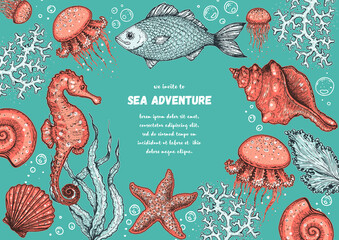 Underwater world hand drawn collection. Color illustration. Seaweed, coral, seashells, starfish, jellyfish, fish, sea horse illustration. Vintage design template. Undersea world collection. © DiViArts