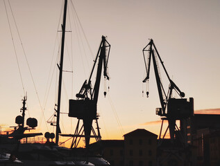 backlight of industrial dock cranes 