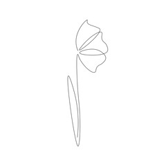 Flower line drawing on white background, vector illustration