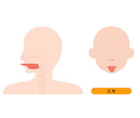 正常な舌のイラスト　