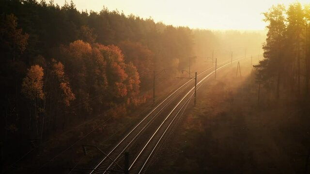 Railway in the autumn forest, foggy sunny dawn.