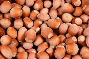 Hazelnuts close-up, view from above. Hazelnuts  backgrounds