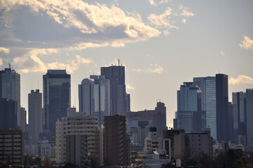 Fototapeta na wymiar 豊島区から見た新宿のビル群