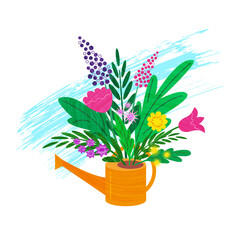 Colored spring flowers on the watering can in the white background with brush strokes . Vector flat isolated illustration with brush texture. 