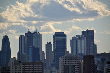 Fototapeta na wymiar 豊島区から見た新宿のビル群