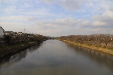 日本の埼玉県蓮田市付近の元荒川沿いの風景