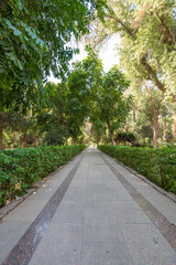 Fototapeta premium path in the park