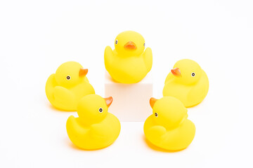 A group of yellow rubber duck following the leader