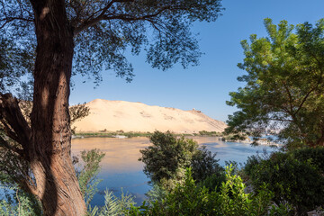 lake and trees Aswan Nile