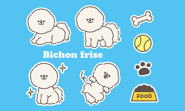 255 Best ビションフリーゼ Images Stock Photos Vectors Adobe Stock