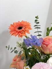 예쁜꽃사진