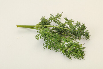 Aroma seasoning - Green Dill branch