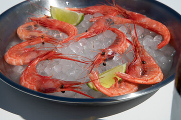 GAMBAS